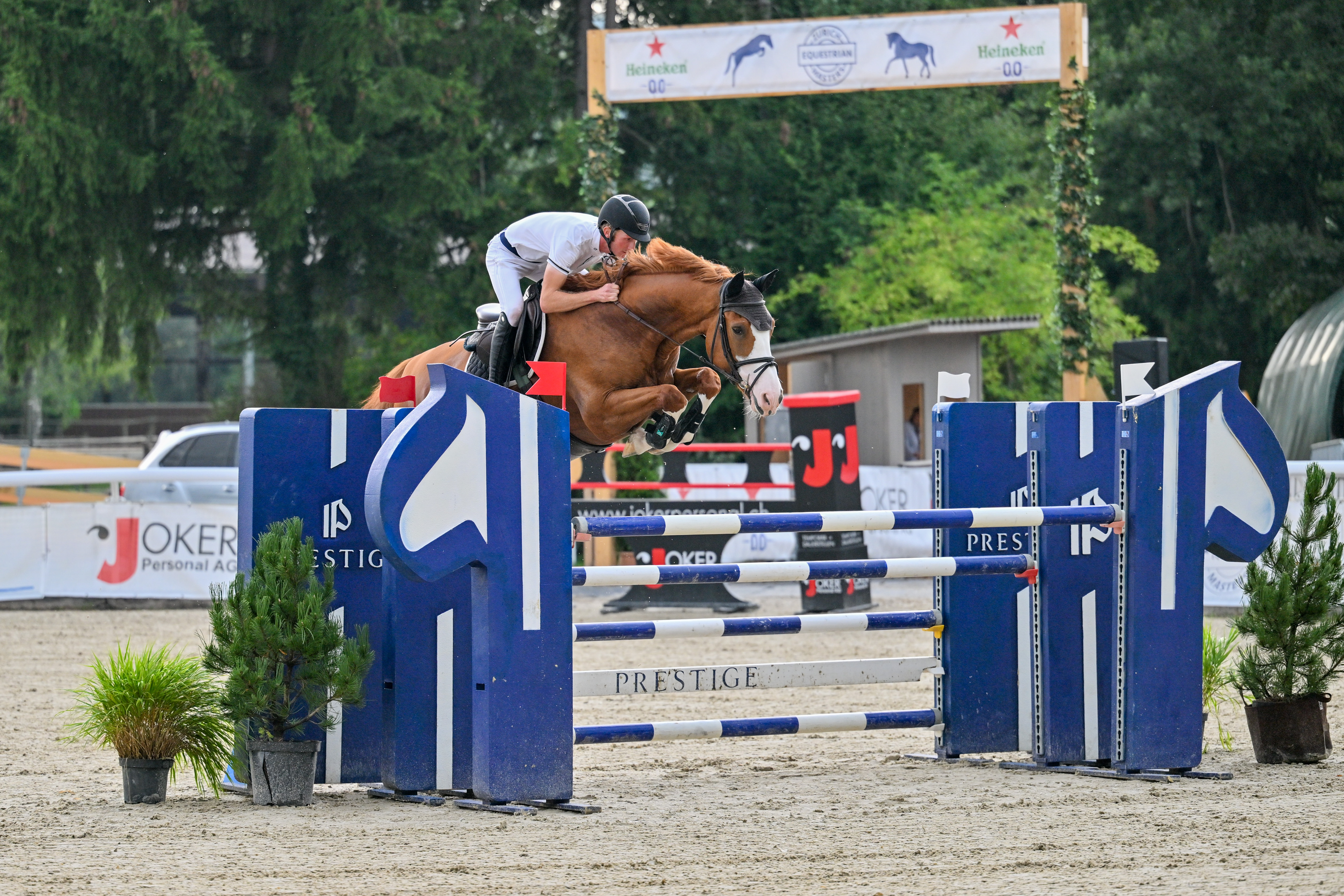 Malivi’s Flip DR Z